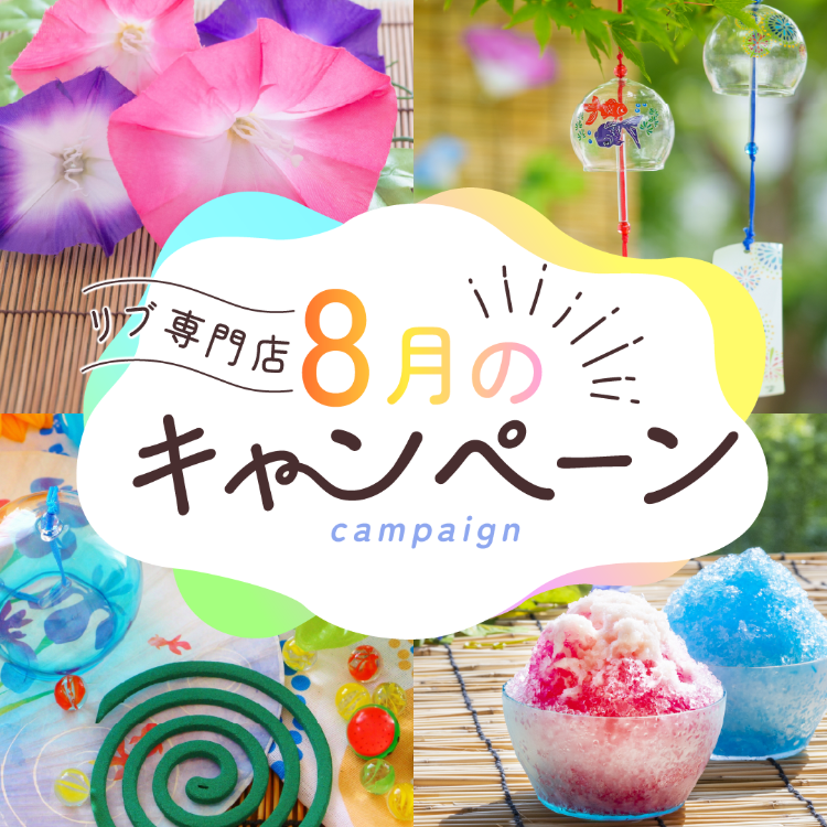 【特集】リブ専門店8月のキャンペーン🌻
