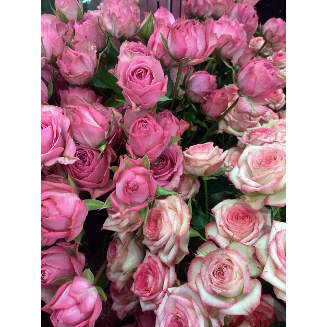 【ガーデンガーデン】卒業花の予約受付中