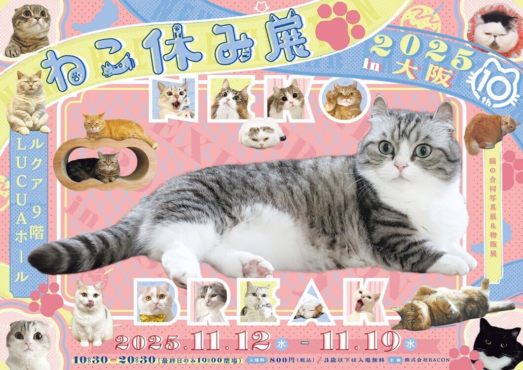 ねこ休み展 / ミニチュア写真の世界展