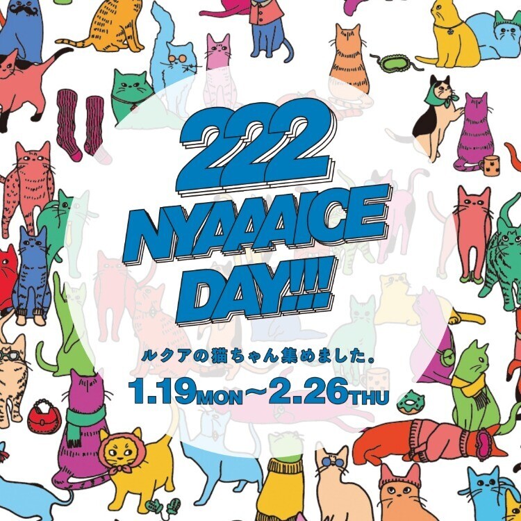 222 NYAAAICE DAY!!! | トピックス | WESPO(ウエスポ)