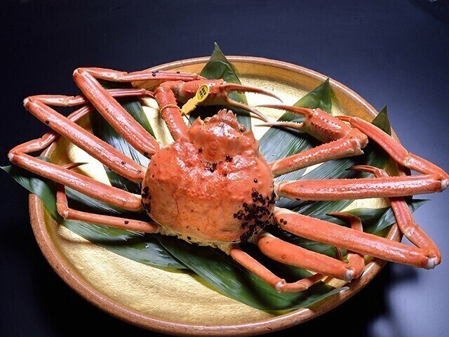 echizentamuraya.jpg