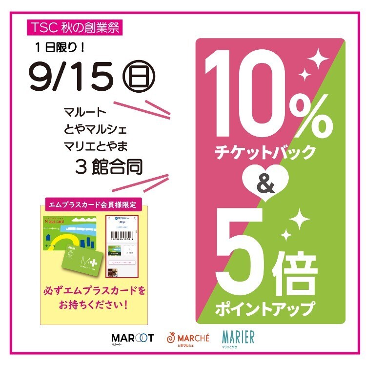 全品ポイント5倍&100円クーポン※要エントリー】WP45-12 2個セット 12V45Ah UPS・防災・防犯・シニアカー・セニアカー ・システム等多目的バッテリー 有り難い LONGバッテリー バイクパーツセンター