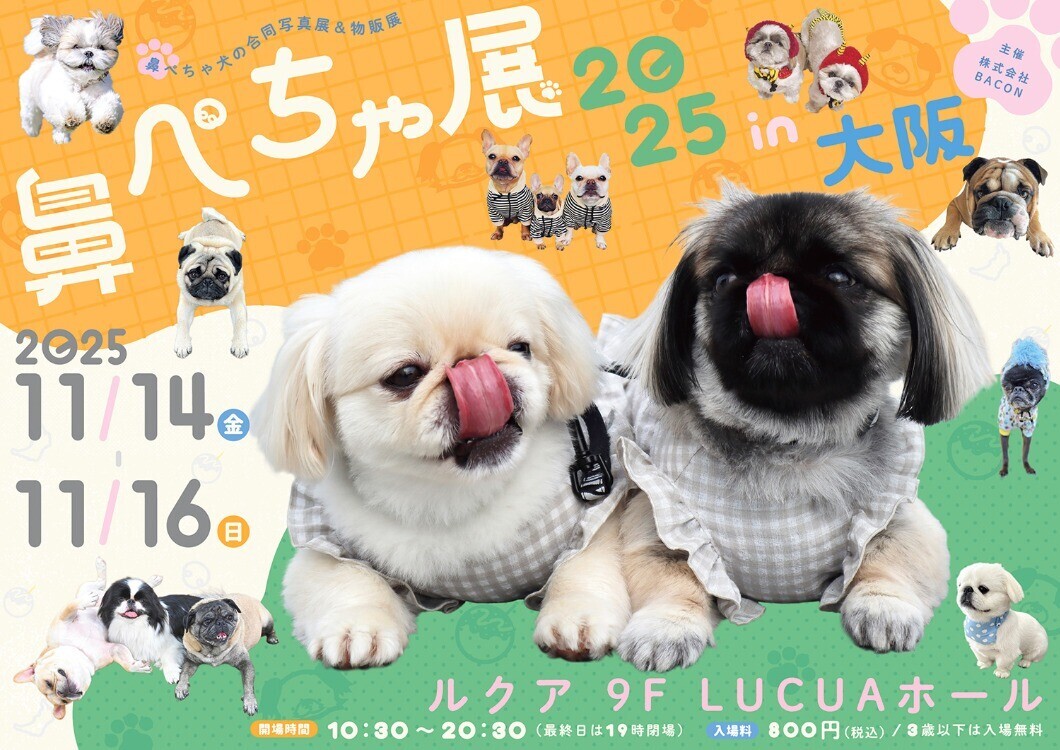 鼻ぺちゃ展 2025 in 大阪